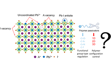 Tailoring the configuration of polymer passivators in perovskite solar cells 2024.100413